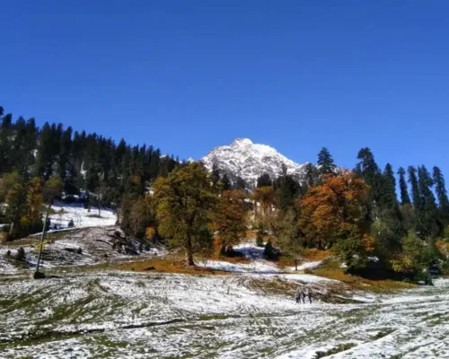 Snowy mountain landscape with trees and a clear blue sky.