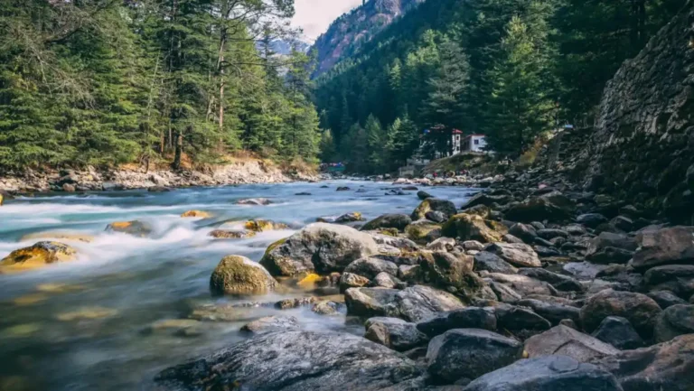 Scenic Himalayan river valley with lush forests and snow-capped mountains