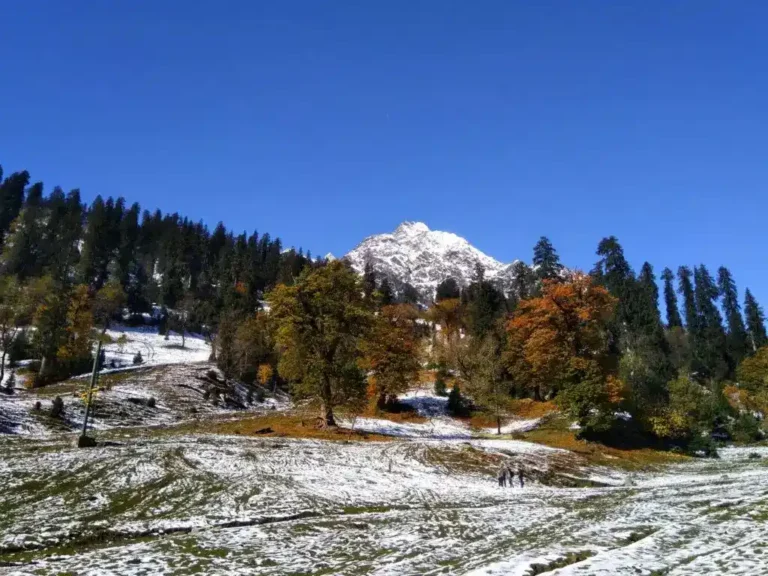 Snowy mountain landscape with trees and a clear blue sky.